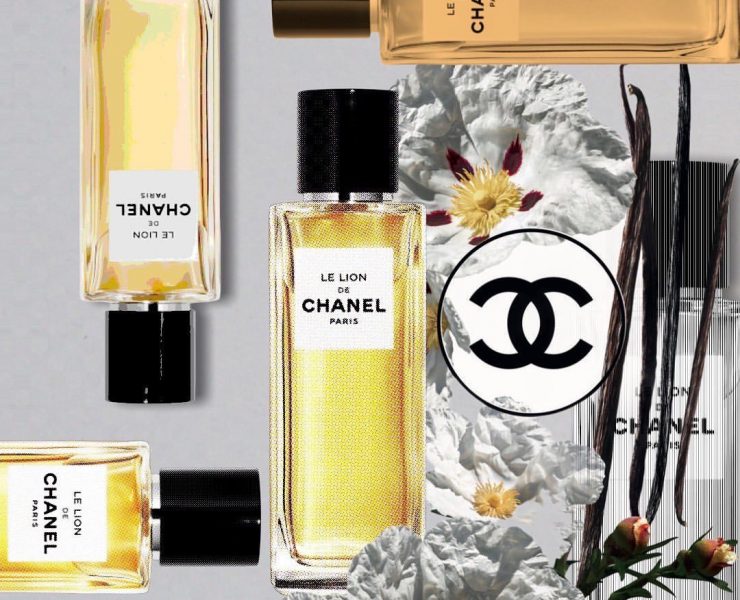 Lion Chanel - Un MALGACHE A PARIS